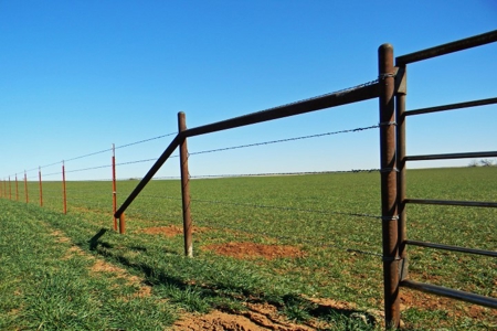 Oklahoma Farm for Sale, Custer County, Tract 1 - image 9