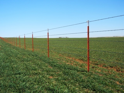 Oklahoma Farm for Sale, Custer County, Tract 1 - image 10