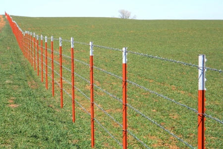 Oklahoma Farm for Sale, Custer County, Tract 1 - image 11