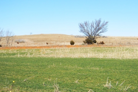 Oklahoma Farm for Sale, Custer County, Tract 2 - image 2