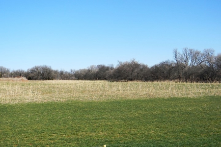 Oklahoma Farm for Sale, Custer County, Tract 2 - image 4