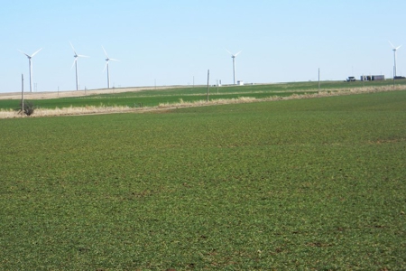 Oklahoma Farm for Sale, Custer County, Tract 3 - image 3