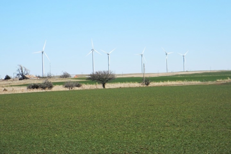 Oklahoma Farm for Sale, Custer County, Tract 3 - image 4