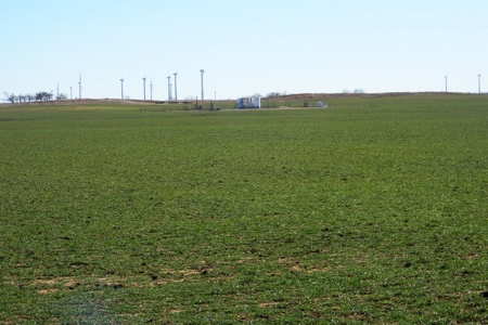Oklahoma Farm for Sale, Custer County, Tract 3 - image 5