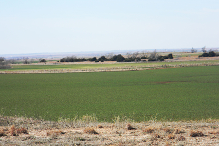 Oklahoma Farm for Sale, Custer County, Tract 4 - image 1