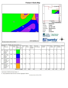 Oklahoma Farm for Sale, Custer County, Tract 4 - image 3