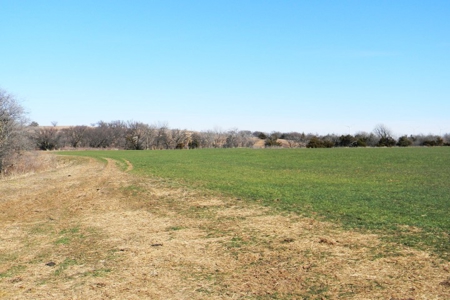 Oklahoma Farm for Sale, Custer County, Tract 5 - image 4