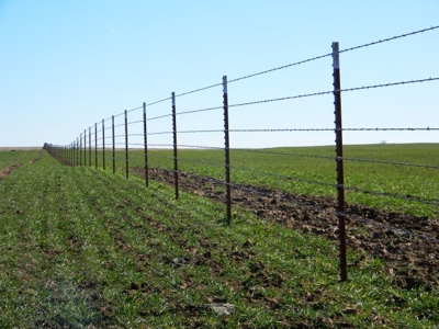 Oklahoma Farm for Sale, Custer County, Tract 5 - image 6