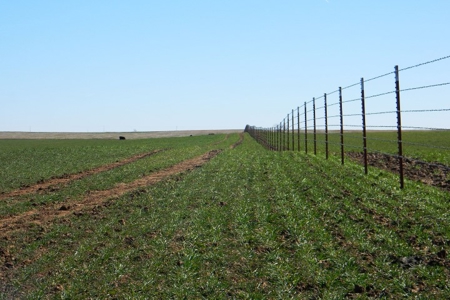 Oklahoma Farm for Sale, Custer County, Tract 5 - image 7