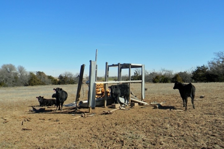 Oklahoma Farm for Sale, Custer County, Tract 5 - image 10