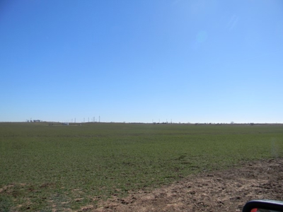 Oklahoma Farm for Sale, Custer County, Tract 5 - image 12
