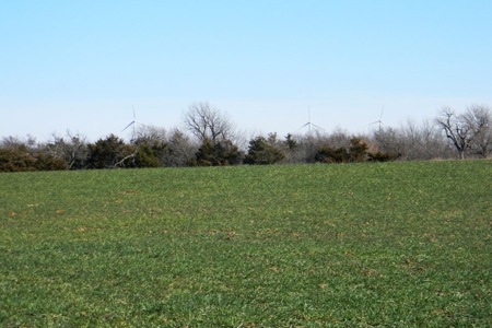 Oklahoma Farm for Sale, Custer County, Tract 5 - image 14