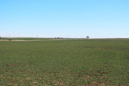 Oklahoma Farm for Sale, Custer County, Tract 5 - image 16