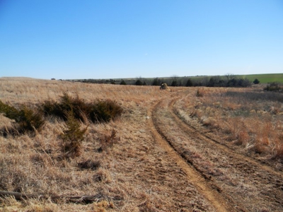 Oklahoma Farm for Sale, Custer County, Tract 5 - image 19