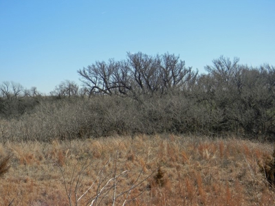 Oklahoma Farm for Sale, Custer County, Tract 5 - image 20