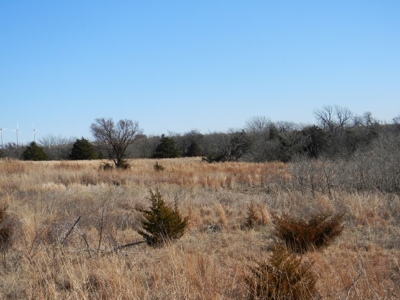 Oklahoma Farm for Sale, Custer County, Tract 5 - image 22