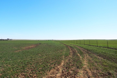 Oklahoma Farm for Sale, Custer County, Tract 5 - image 24