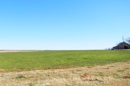 Oklahoma Farm for Sale, Custer County, Tract 6 - image 2