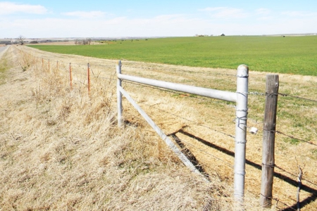 Oklahoma Farm for Sale, Custer County, Tract 6 - image 3