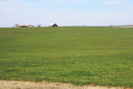 Oklahoma Farm for Sale, Custer County, Tract 6 - image 7