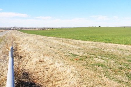 Oklahoma Farm for Sale, Custer County, Tract 6 - image 8