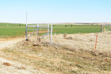 Oklahoma Farm for Sale, Washita County, Tract 7 - image 5