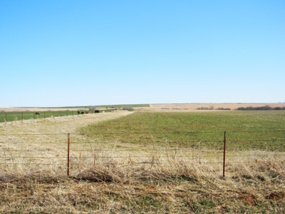 Oklahoma Farm for Sale, Washita County, Tract 7 - image 6