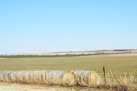 Oklahoma Farm for Sale, Washita County, Tract 7 - image 8