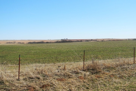 Oklahoma Farm for Sale, Washita County, Tract 7 - image 9