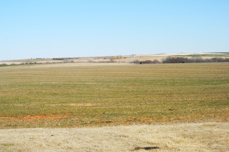 Oklahoma Farm for Sale, Washita County, Tract 7 - image 10