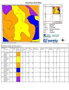 Oklahoma Farm for Sale, Washita County, Tract 8 - image 3