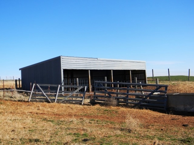 Oklahoma Farm for Sale, Washita County, Tract 8 - image 4
