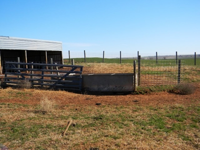 Oklahoma Farm for Sale, Washita County, Tract 8 - image 5
