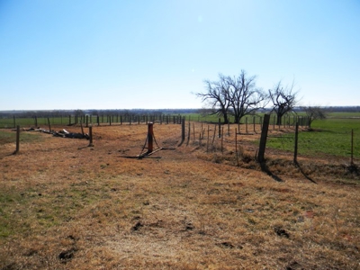Oklahoma Farm for Sale, Washita County, Tract 8 - image 7