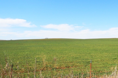 Oklahoma Farm for Sale, Washita County, Tract 8 - image 9