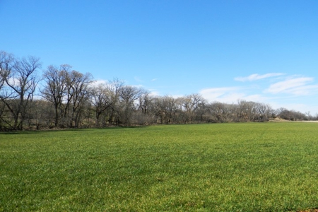 Oklahoma Farm for Sale, Washita County, Tract 8 - image 12