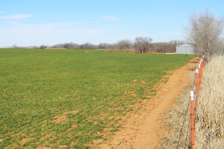 Oklahoma Farm for Sale, Washita County, Tract 8 - image 14