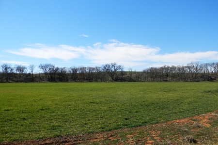 Oklahoma Farm for Sale, Washita County, Tract 8 - image 15