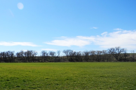 Oklahoma Farm for Sale, Washita County, Tract 8 - image 16