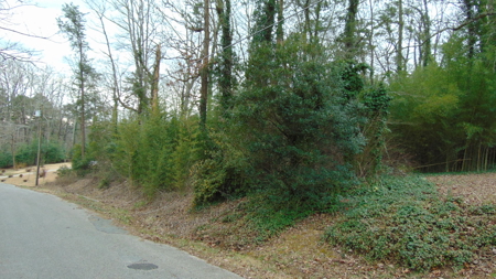 ONLINE AUCTION- 0.5 +/- Acre Building Lot On Takoma St - image 2