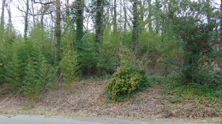 ONLINE AUCTION- 0.5 +/- Acre Building Lot On Takoma St - image 3