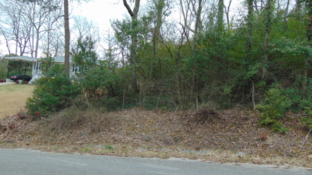 ONLINE AUCTION- 0.5 +/- Acre Building Lot On Takoma St - image 4