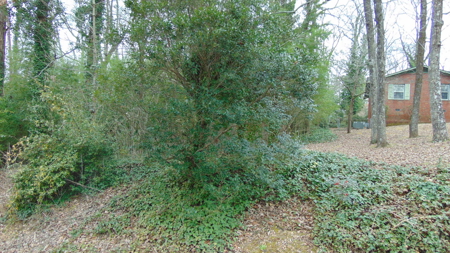 ONLINE AUCTION- 0.5 +/- Acre Building Lot On Takoma St - image 5