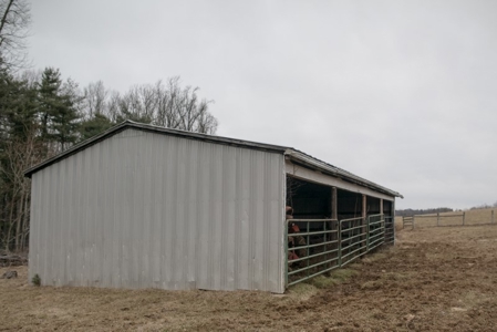 Farm and Home for Sale in Floyd VA! - image 3