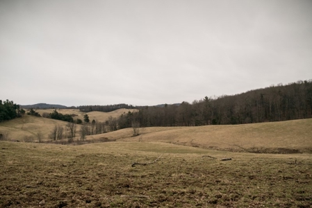 Farm and Home for Sale in Floyd VA! - image 17