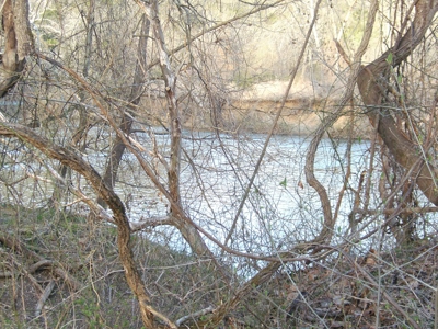 Arkansas Southfork River Land Auction Cherokee Village AR - image 1