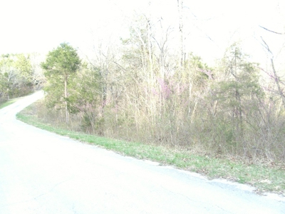 Arkansas Southfork River Land Auction Cherokee Village AR - image 3