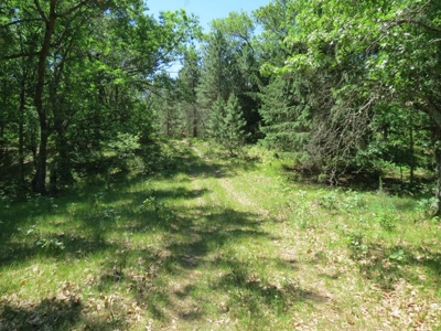 Marquette Cty Multi Parcel 173+/- acre Land & Lodge Auction - image 26