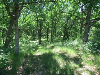 Marquette Cty Multi Parcel 173+/- acre Land & Lodge Auction - image 27