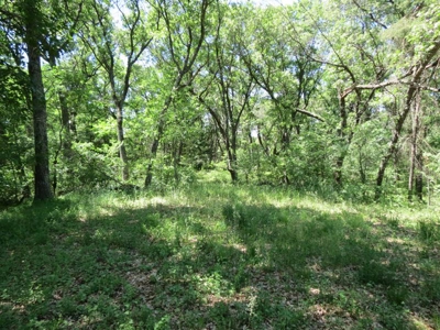 Marquette Cty Multi Parcel 173+/- acre Land & Lodge Auction - image 28